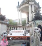 Global March for Elephants and Rhinos Liverpool